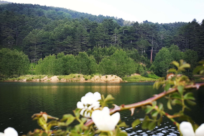 BURSA'YA BAHAR GELDİ