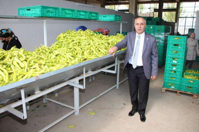 ÜRETKEN BELEDİYECİLİK BİLİMİN GÜNDEMİNDE!