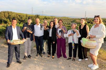 Mudanya Çağrışan’da bağbozumu zamanı