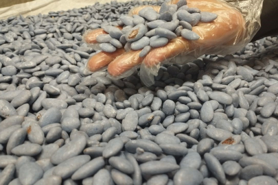 Mardin'in badem şekeri tezgahlarda eksik edilmiyor